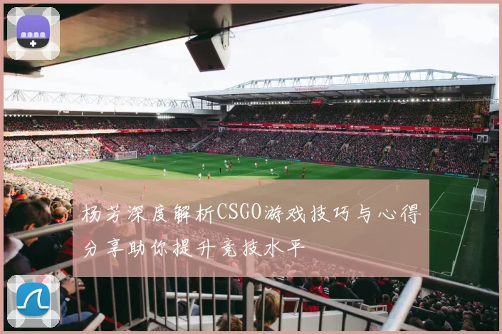 杨芳深度解析CSGO游戏技巧与心得分享助你提升竞技水平