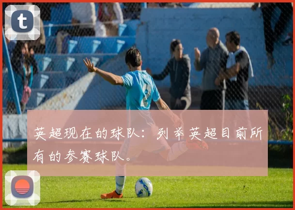 英超现在的球队：列举英超目前所有的参赛球队。