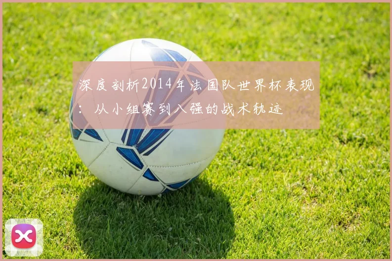 深度剖析2014年法国队世界杯表现:从小组赛到八强的战术轨迹