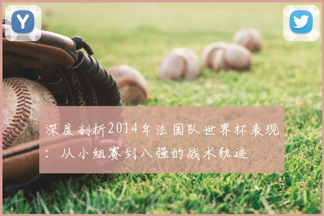 深度剖析2014年法国队世界杯表现:从小组赛到八强的战术轨迹