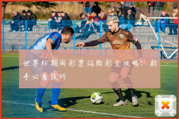 世界杯期间彩票站购彩全攻略:新手必看技巧