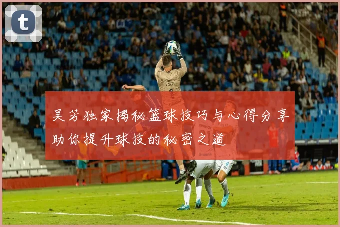 吴芳独家揭秘篮球技巧与心得分享助你提升球技的秘密之道
