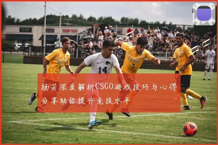 杨芳深度解析CSGO游戏技巧与心得分享助你提升竞技水平