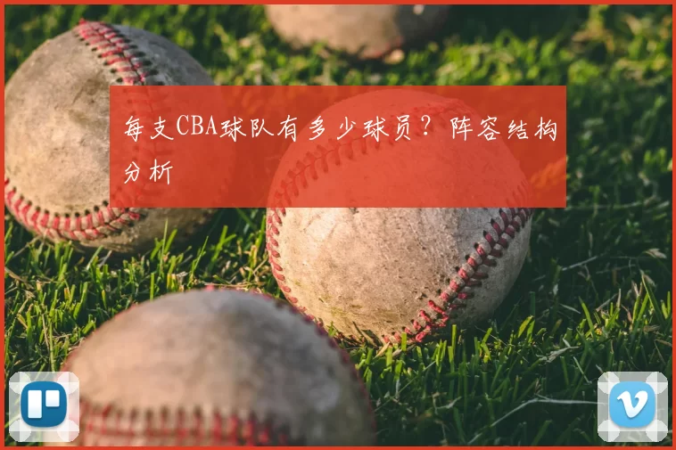 每支CBA球队有多少球员？阵容结构分析