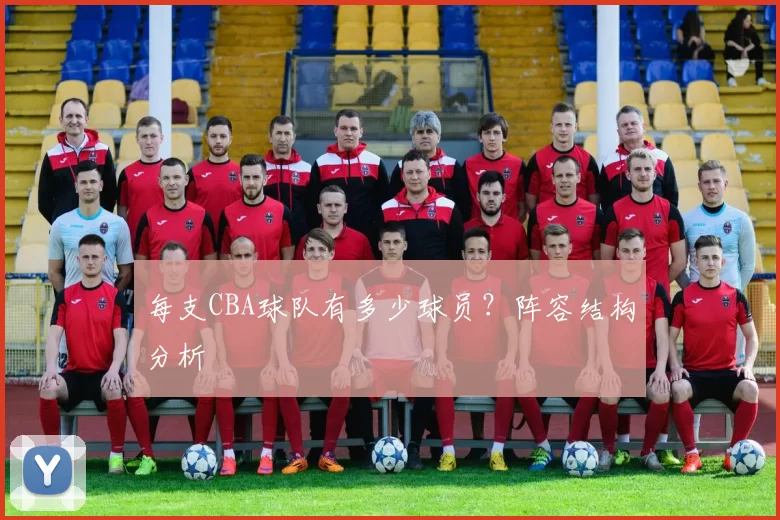 每支CBA球队有多少球员？阵容结构分析