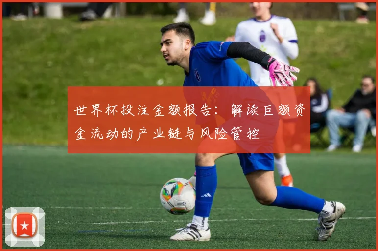 世界杯投注金额报告：解读巨额资金流动的产业链与风险管控