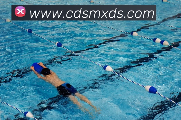 星空体育平台生态图